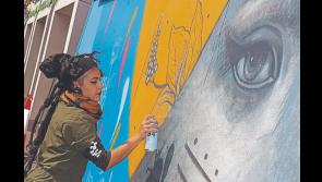 Cruthú: Deich mbliana ag fás - Ten years of Longford's  Cruthú Arts Festival