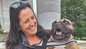 Napoleon to represent Longford at the Nose of Tralee