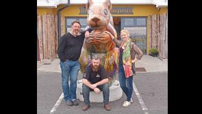 Mystic Squirrel to perch in Granard for solstice week