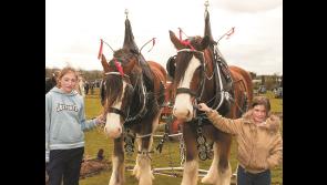 Down Memory Lane | Gallery of lovely pictures from the 2005 County Longford Ploughing Championships