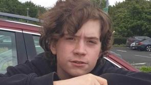 Midlands Gardaí seek public's assistance to find missing teenager