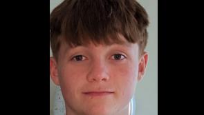 Gardaí issue appeal to help find missing Midlands teenager 