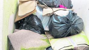 Longford's illegal dumping woes prompts calls for bins to be made 'mandatory' as part of tenancy agreements 