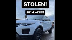 Influencer in appeal after her car and her mother's car are stolen in Limerick 