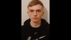 Gardaí appeal for information to help find missing Midlands teenager 