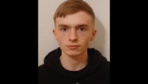 Midlands gardaí renew appeal to help find teenager missing for a month