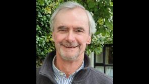 Longford Historical Society host lecture on Brehon laws