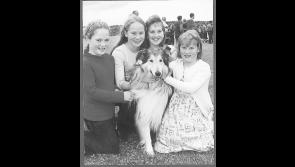 Down Memory Lane |  A gallery of Longford pictorial gems from 2001 including the fantastic Lanesboro Regatta