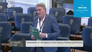 WATCH | Longford Senator Micheál Carrigy backing calls for 0% VAT on newspapers 