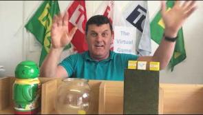 WATCH | For the craic - Longford's Jimmy Jests brings us The Virtual All-Ireland Championship 