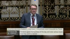 WATCH | Longford families experiencing difficulty in accessing basic services for their children
