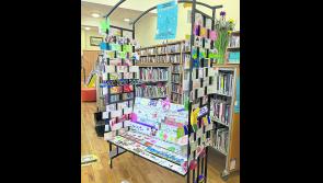 New art project highlights Longford’s wonderful county spirit