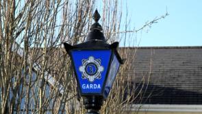 BREAKING: Gardaí in €20k Longford cannabis growhouse drugs bust