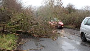 Storm Eleanor Latest: Longford road users urged to be alert to flooding and debris as Met Éireann  updates weather warning
