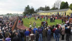 Seven race card at this evening's Roscommon meeting