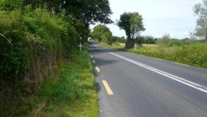 New Oireachtas reports places N4/N5 upgrade and motorway development in Longford at top of the agenda 