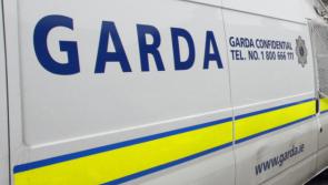 Gardai arrest 17 for immigration offences during Covid-19 social welfare fraud search