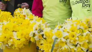 Appeal for Longford people to support Daffodil Day