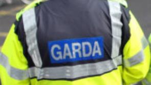 Driver issued fine and penalty points after being caught speeding in school zone in Longford