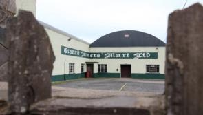 Granard Mart to present Knowledge Transfer event  
