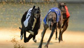 Fundraiser at Longford Greyhound Stadium 