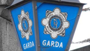 Gardaí carry out raids on 31 homes across 12 counties in child pornography probe