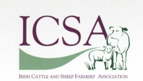 ICSA objected to gratuitously offensive nature of comments made by Longford farmer James Reynolds on social media 