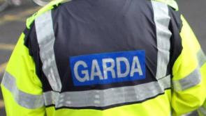 Male pedestrian dies after he was struck by a car