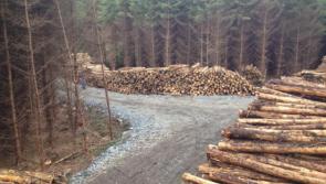 Protest against 'scandalous' forestry deal 