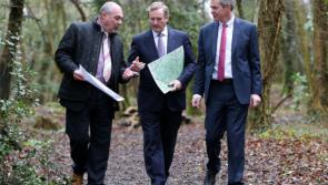 New walking routes at Newcastle Woods, Ballymahon 