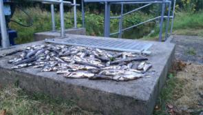 Farmers in Longford asked to remain vigilant for water pollution