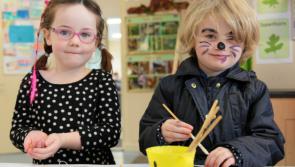 €7,500 Arts Council grant for Longford's Aisling Festival 