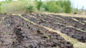 Former Lanesboro and Ballyleague Bord na Móna workers invited to information event 