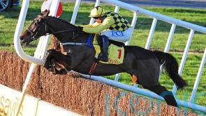 Business as usual for Al Boum Photo