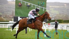 Bob Olinger takes centre stage at Punchestown