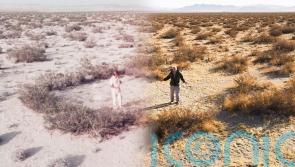 David Attenborough revisits desert plant he filmed 40 years previously