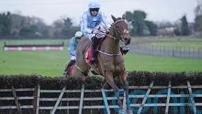 Honeysuckle bidding to add further lustre to glittering CV at Leopardstown on Sunday