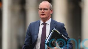 Coveney brands attack on Ukrainian nuclear site a ‘reckless act’