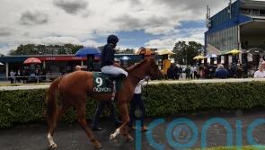 Statuette debuts with impressive display at Navan