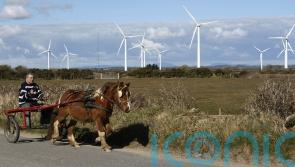 Wind energy provided 34% of Ireland’s power this year, new figures show