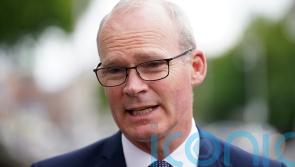 Ireland would ‘need to speak to UK’ before any move to restrict Russian tourists