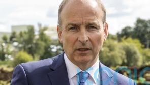 Protocol Bill ‘testing and fraying’ British and Irish partnership – Taoiseach