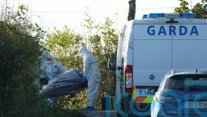 Gardai investigating Midlands man’s death bid to trace his final movements