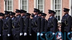 Justice Minister urged to increase garda numbers to tackle rural crime
