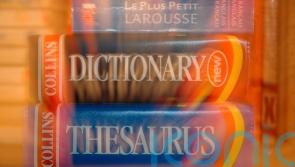 ‘Permacrisis’: The Collins Dictionary Words of the Year for 2022 have been revealed 