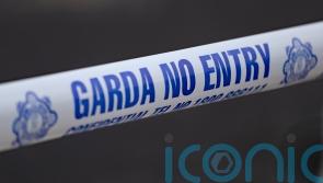 Man dies after van enters water at Co Offaly marina