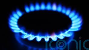 Energy companies must cut their consumer prices, says Longford senator