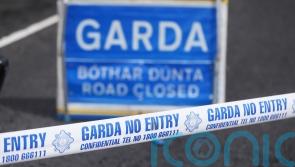 Man dies as car collides with stray horse on N2