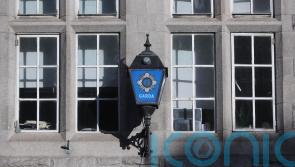 Gardai appeal for information after man fatally assaulted in Dublin