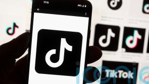 TikTok banned from EU Commission phones over cybersecurity